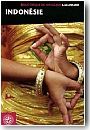 Biblioth�que du voyageur " Indon�sie" <br/> <br/> <br/>